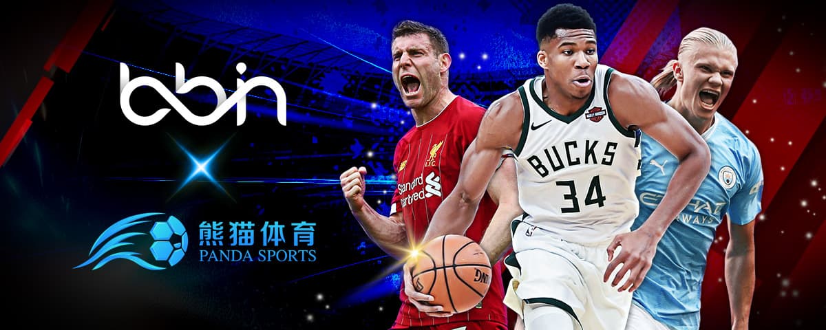 周琦的合同
