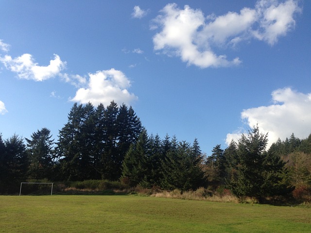 国际视野